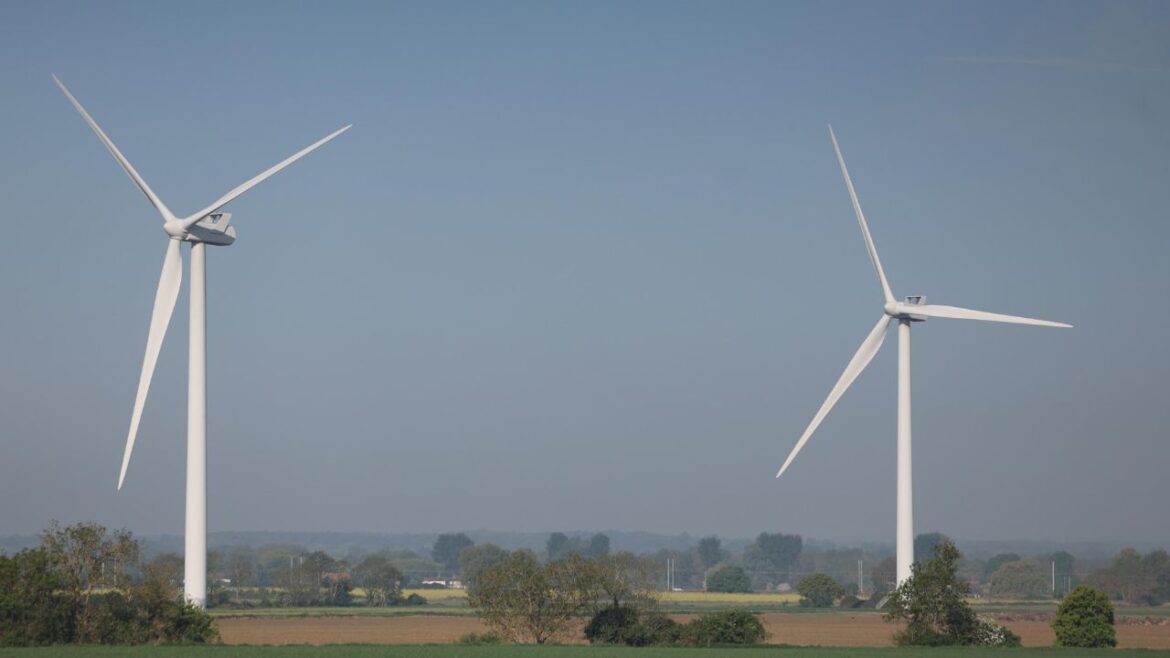 Caro energia ph Ansa