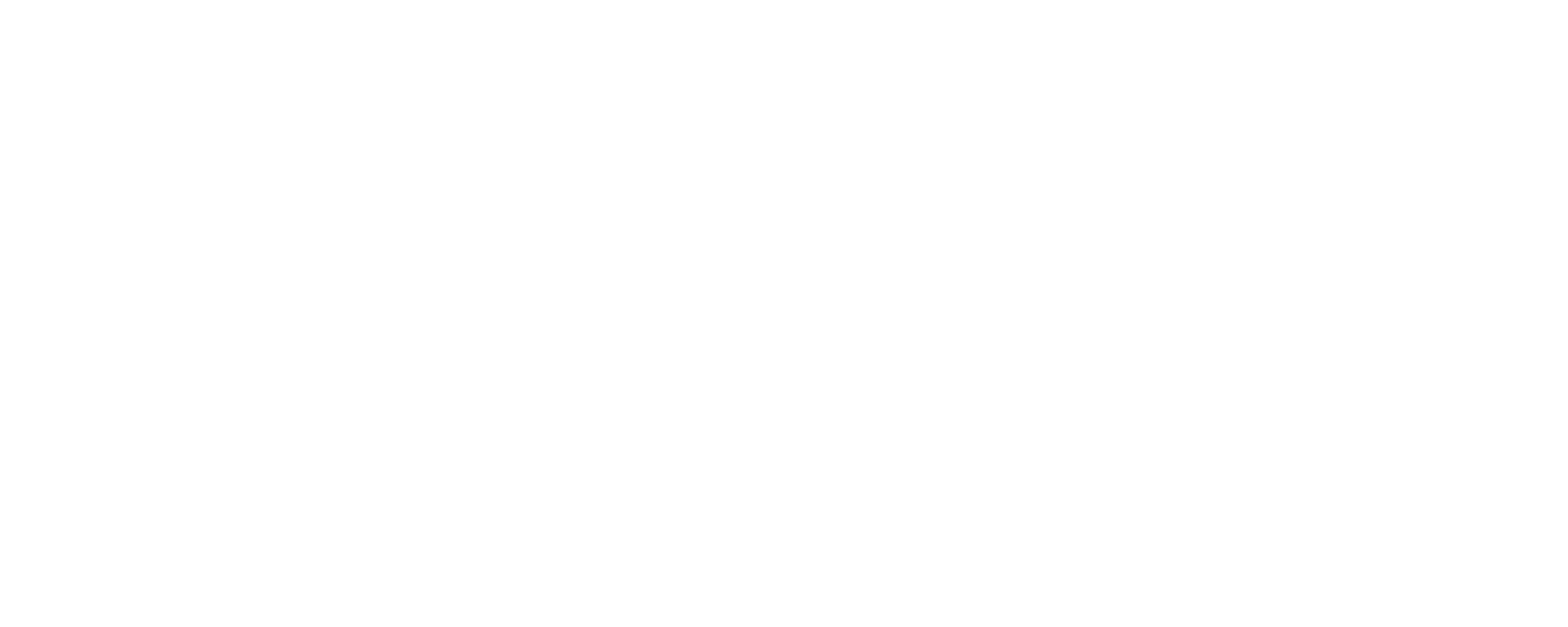 La Sintesi