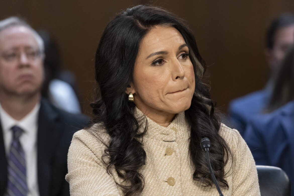 Tulsi Gabbard. EPA_Luke Johnson