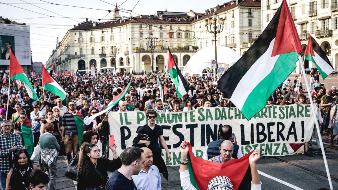 Manifestazione pro Pal ph Ansa