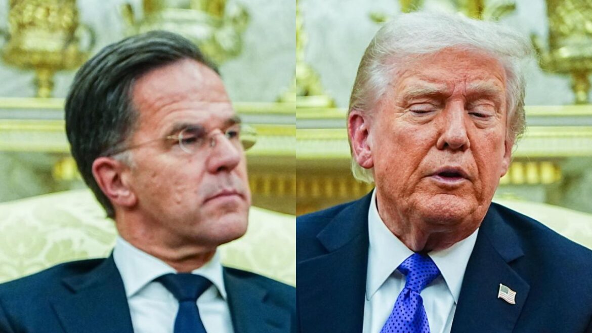 Nato, Donald Trump e Mark Rutte ph Ansa