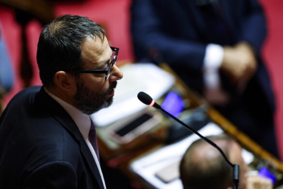 Patuanelli. ANSA_ANGELO CARCONI