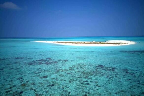 Maldive ph Ansa