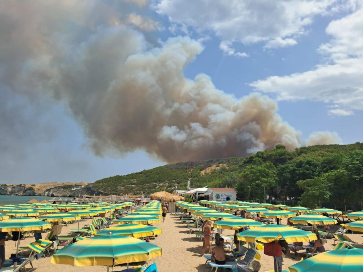 Un vasto incendio in località Pile Fraballe, zona rurale e periferica nel comune di Peschici (Foggia), nei pressi di Difesa di Manaccora, Peschici 26 luglio 2026. US FERROVIE DEL GARGANO +++FOTO DIFFUSA DALL'UFFICIO STAMPA