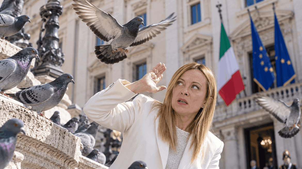 giorgia meloni piccioni palazzo chigi ph ai